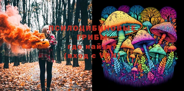 хмурый Алексеевка