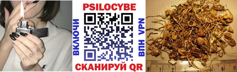 где продают наркотики  Чкаловск  Псилоцибиновые грибы Cubensis 